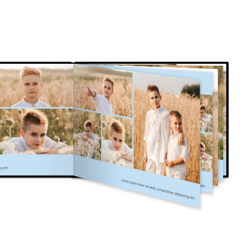 Portfolio White Portfolio White