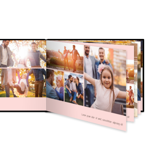 Portfolio White