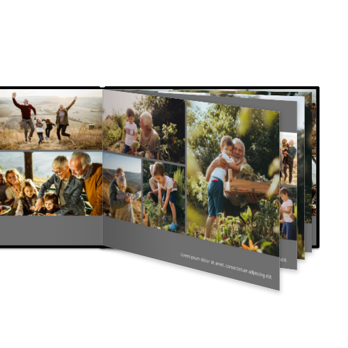 Portfolio White