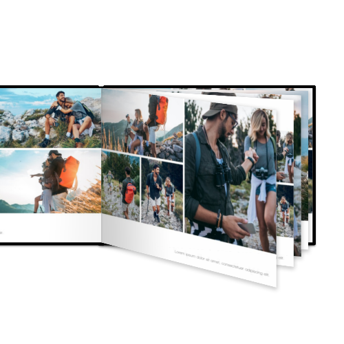 Portfolio White