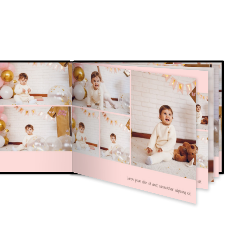 Portfolio White