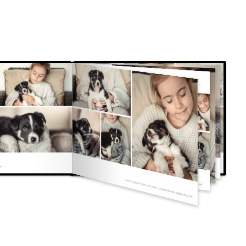 Portfolio White Portfolio White