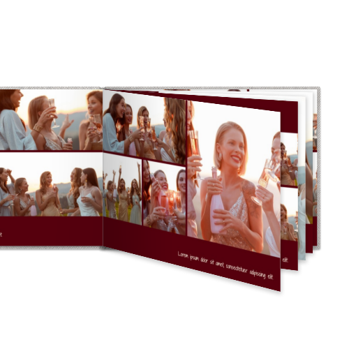 Portfolio White