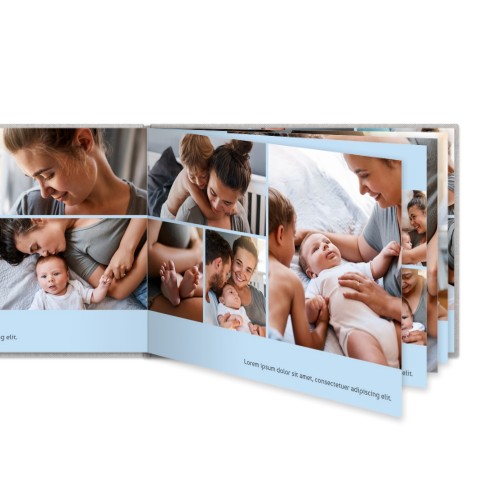 Portfolio Light Blue