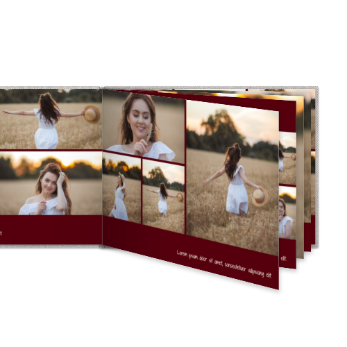 Portfolio White Portfolio White