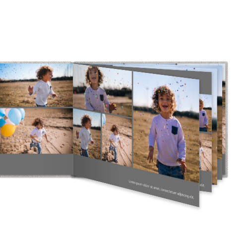 Portfolio White