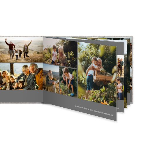 Portfolio White