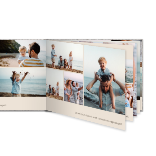 Portfolio White