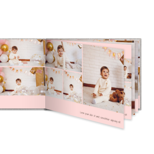 Portfolio White Portfolio White