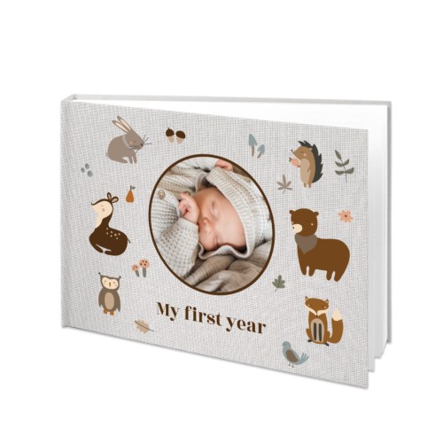 Forest Animals Forest Animals