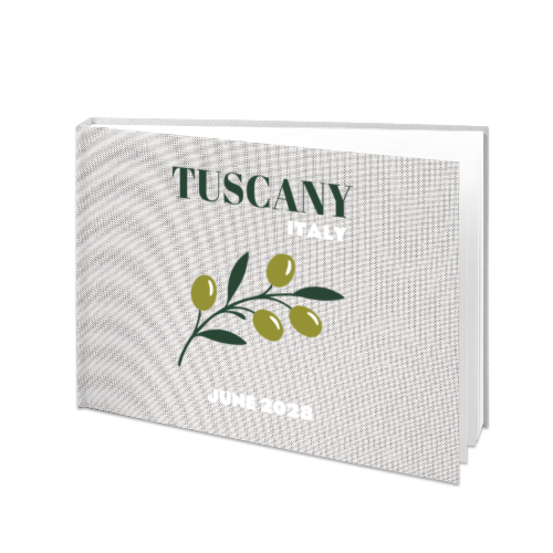 Mediterranean Olive Branch Mediterranean Olive Branch
