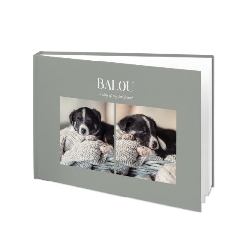 Monochrome Grey Monochrome Grey