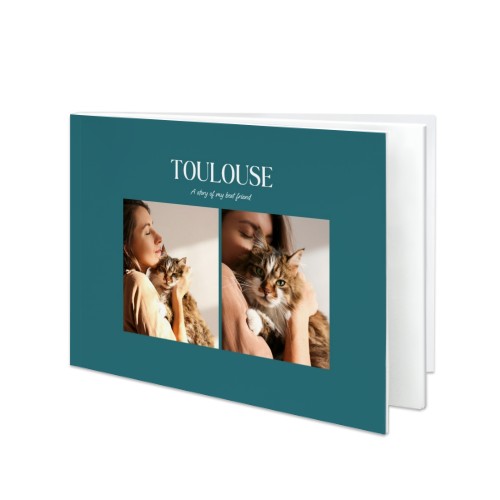 BigLandscape_MonochromeTealBlue