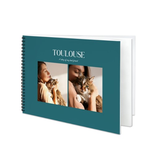 Monochrome Teal Blue