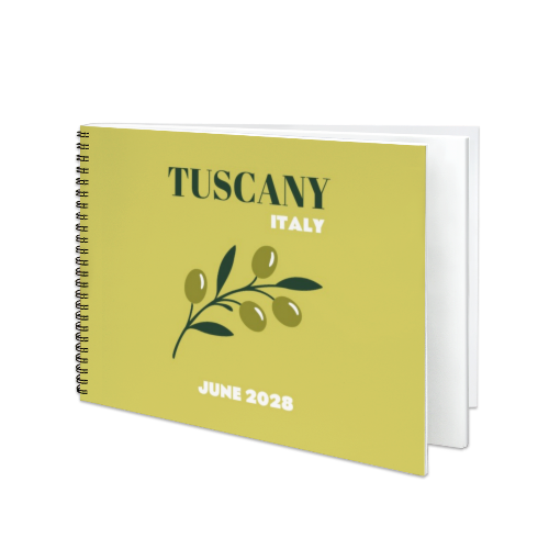 Mediterranean Olive Branch Mediterranean Olive Branch