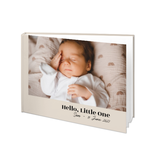 Portfolio White Portfolio White