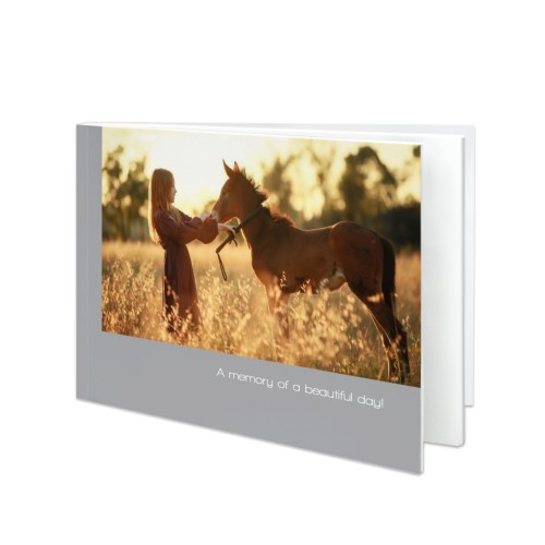 Portfolio Grey Portfolio Grey