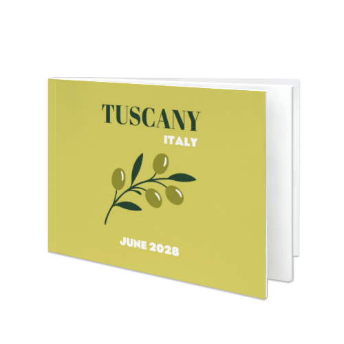 Mediterranean Olive Branch Mediterranean Olive Branch