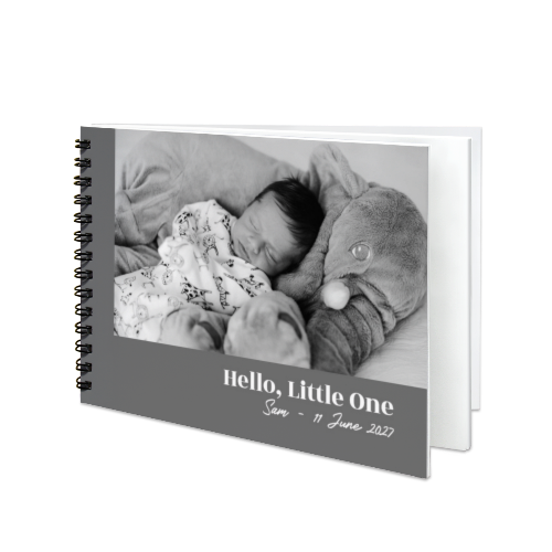 Portfolio White