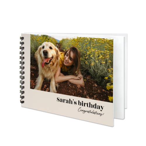 Portfolio White