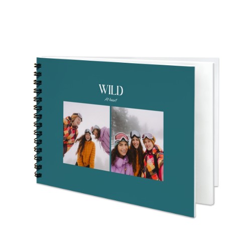 BigLandscape_MonochromeTealBlue