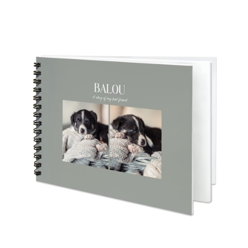 BigLandscape_MonochromeGrey