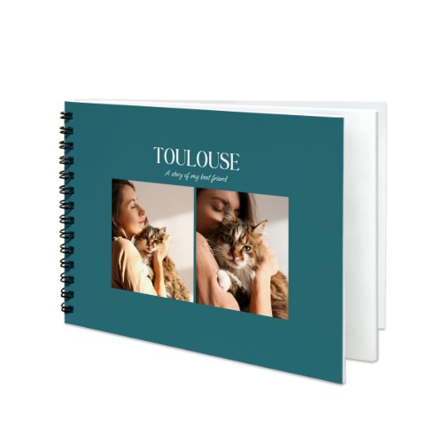 Monochrome Teal Blue