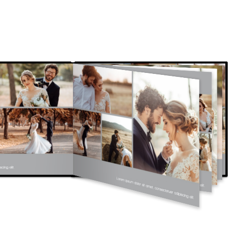 Portfolio White Portfolio White