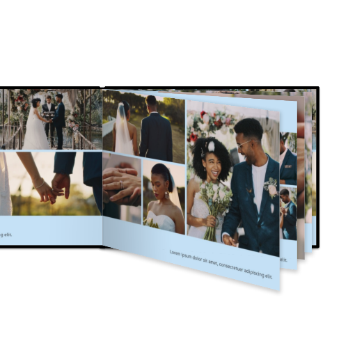 Portfolio White Portfolio White