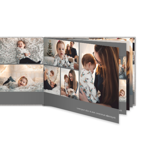 Portfolio White