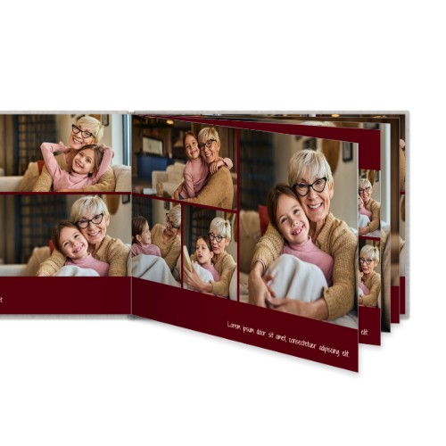 Portfolio Burgundy Portfolio Burgundy