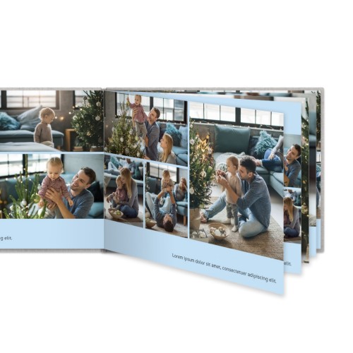 Portfolio Light Blue