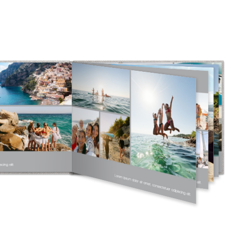 Portfolio White