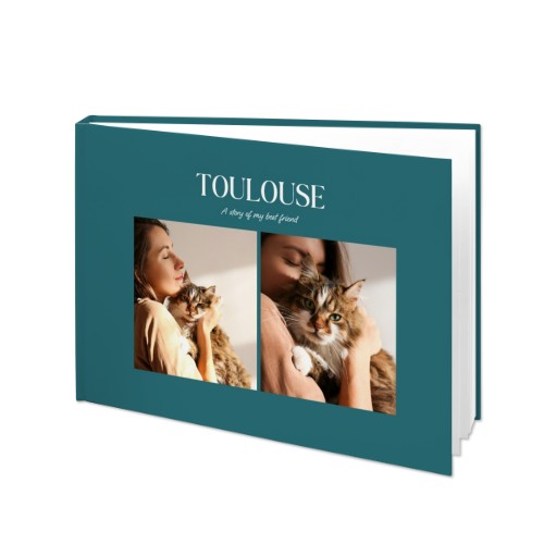 BigLandscape_MonochromeTealBlue