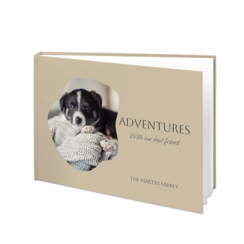 Organic Shape Warm Minimalism