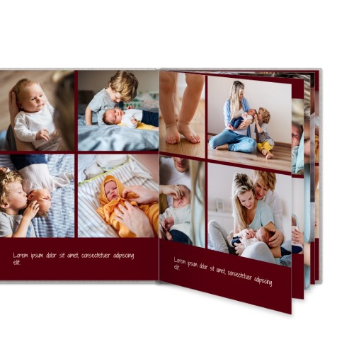 Portfolio Burgundy Portfolio Burgundy