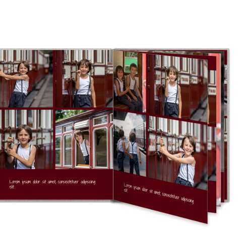 Portfolio Burgundy Portfolio Burgundy