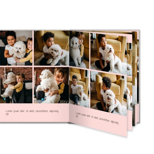 Portfolio Pink Portfolio Pink