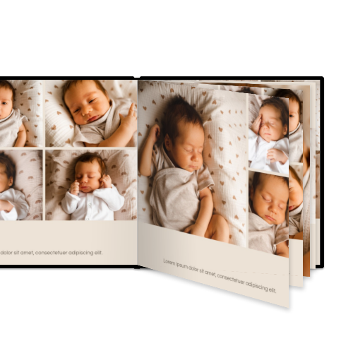 Portfolio White Portfolio White