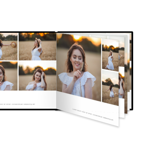 Portfolio White