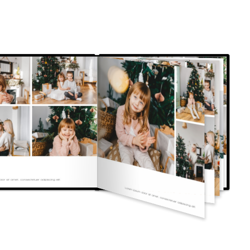 Portfolio White