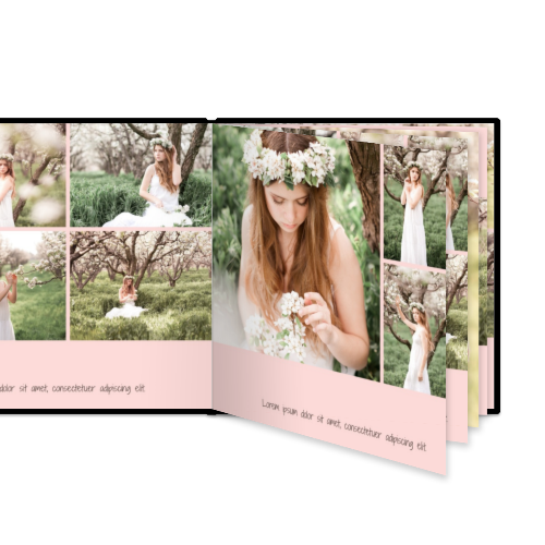 Portfolio White