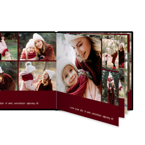 Portfolio White