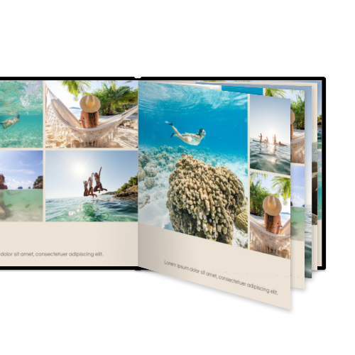 Portfolio White Portfolio White