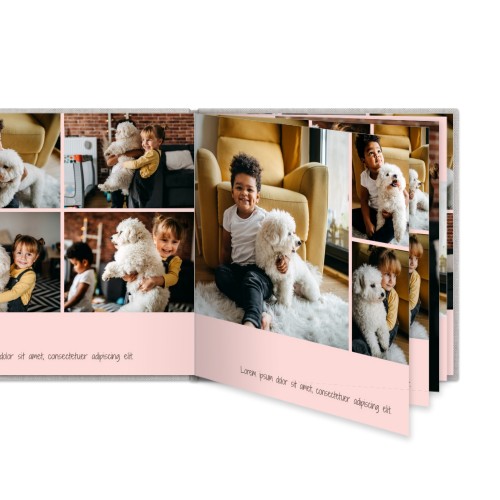 Portfolio Pink Portfolio Pink