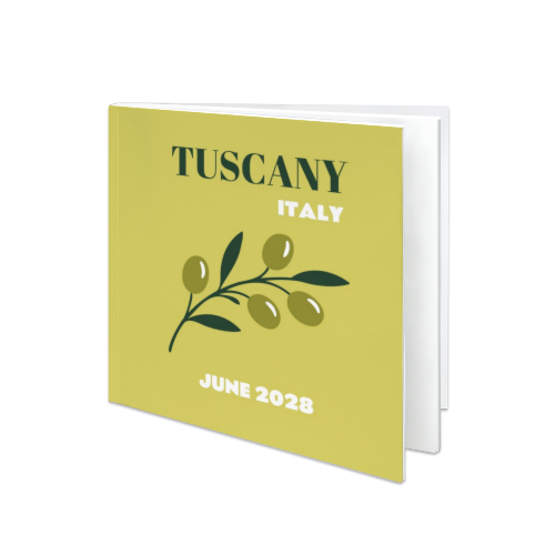 Mediterranean Olive Branch