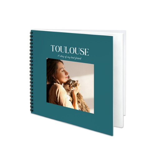 BigSquare_MonochromeTealBlue