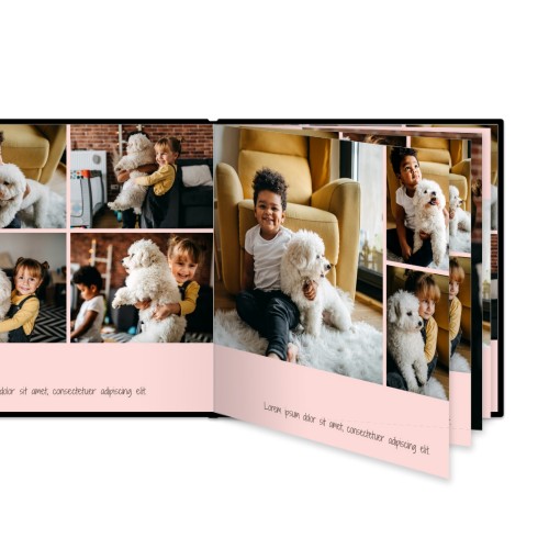 Portfolio Pink Portfolio Pink