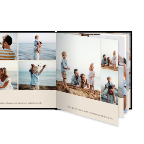 Portfolio White Portfolio White