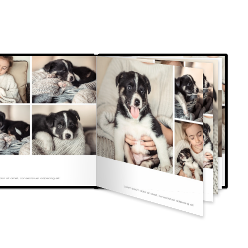 Portfolio White